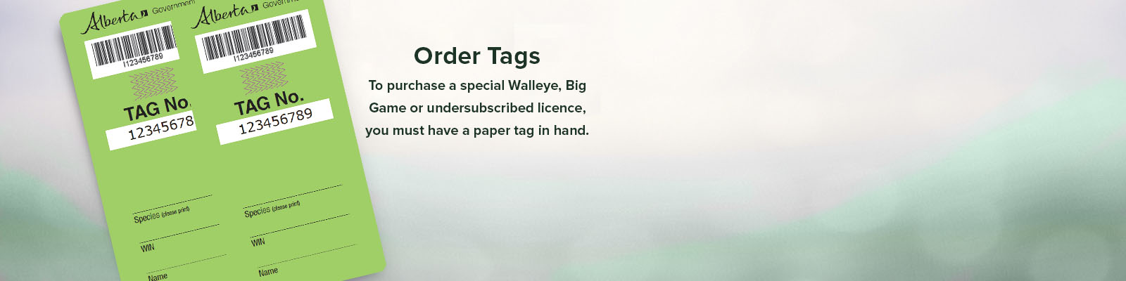 Carousel 3- Order Tags  Early revised